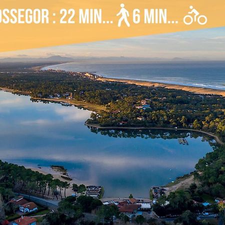 Magnifique Vue Océan - Plage -Surf - Famille Soorts-Hossegor Esterno foto