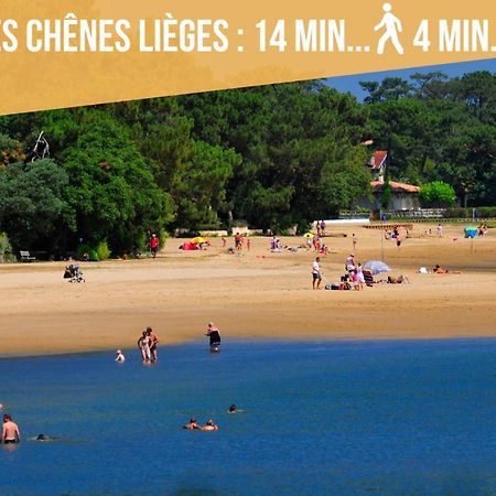 Magnifique Vue Océan - Plage -Surf - Famille Soorts-Hossegor Esterno foto
