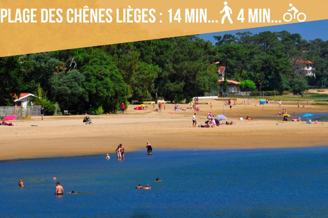 Magnifique Vue Océan - Plage -Surf - Famille Soorts-Hossegor Esterno foto
